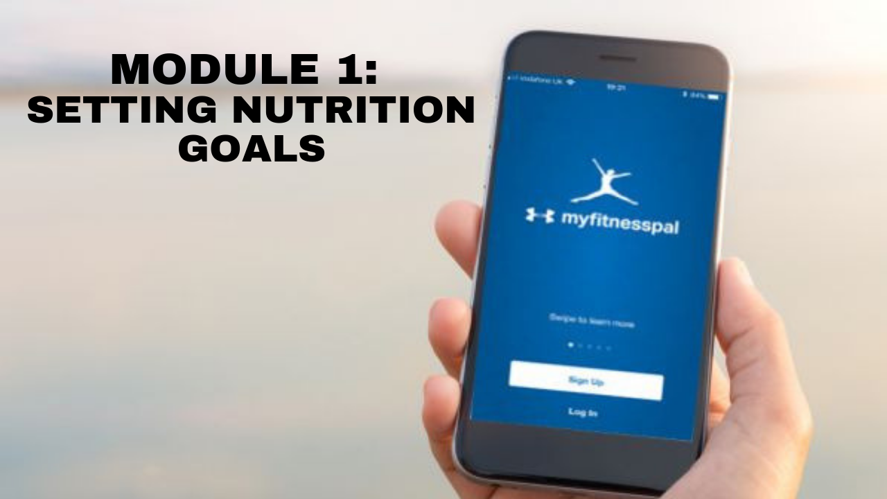 Module 1 MyFitnessPal Minicourse
